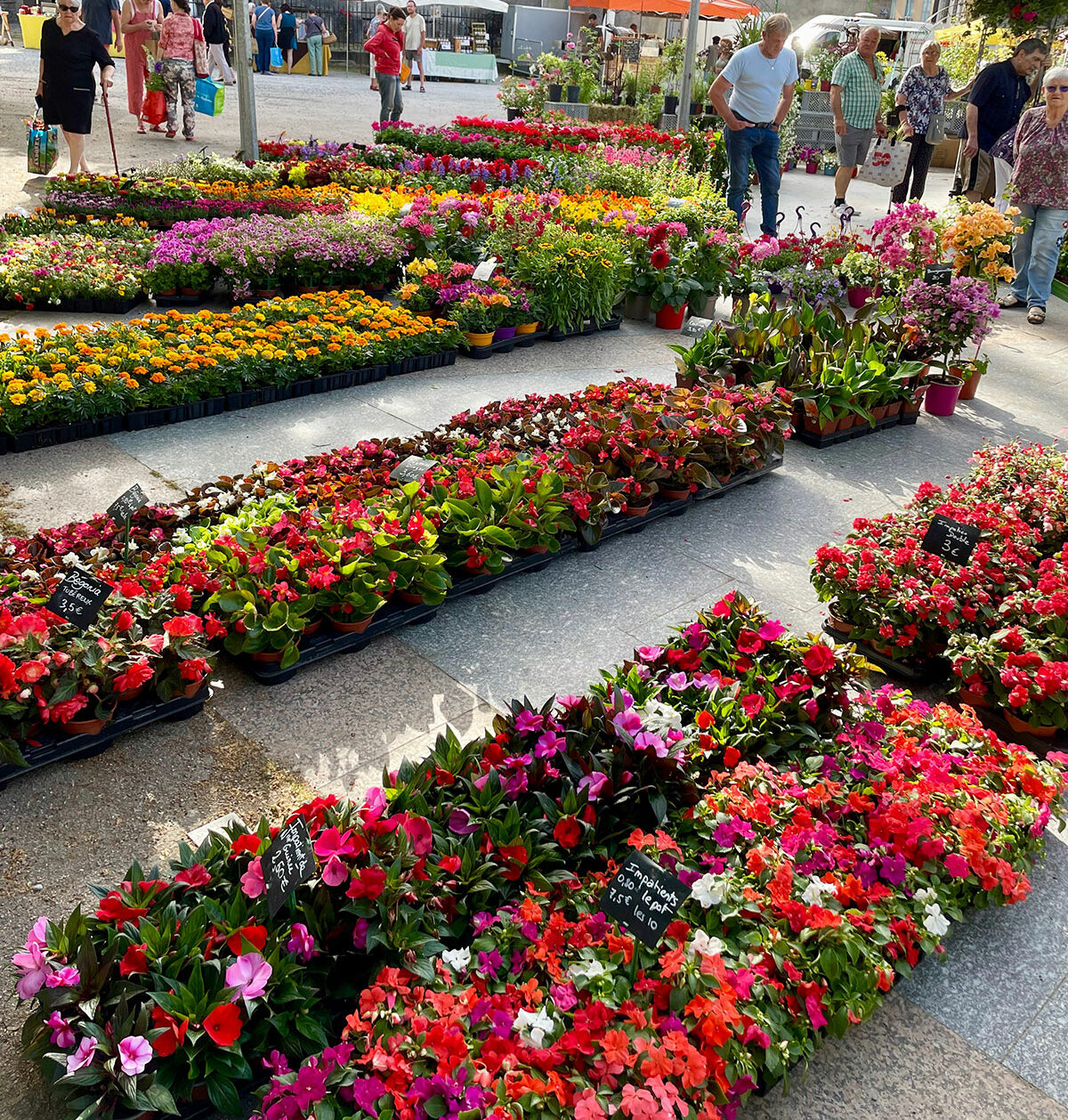 Foire aux plantes à Muret Serre Cros