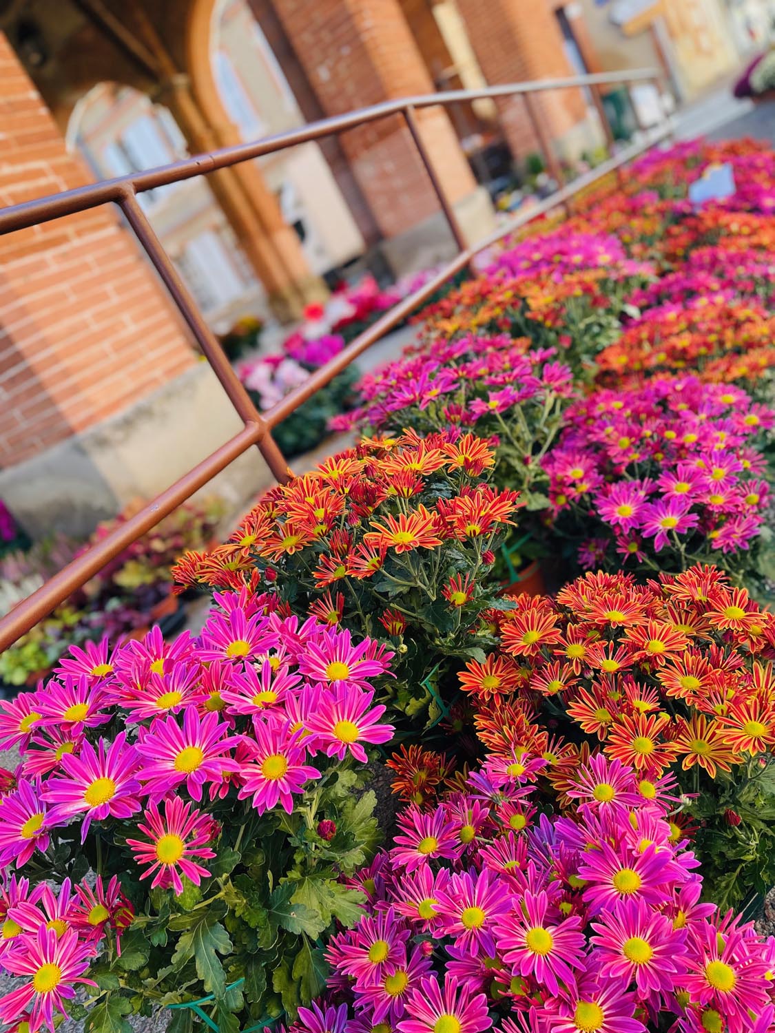 Serre Cros horticulture à Lézat-sur-Lèze en Ariège