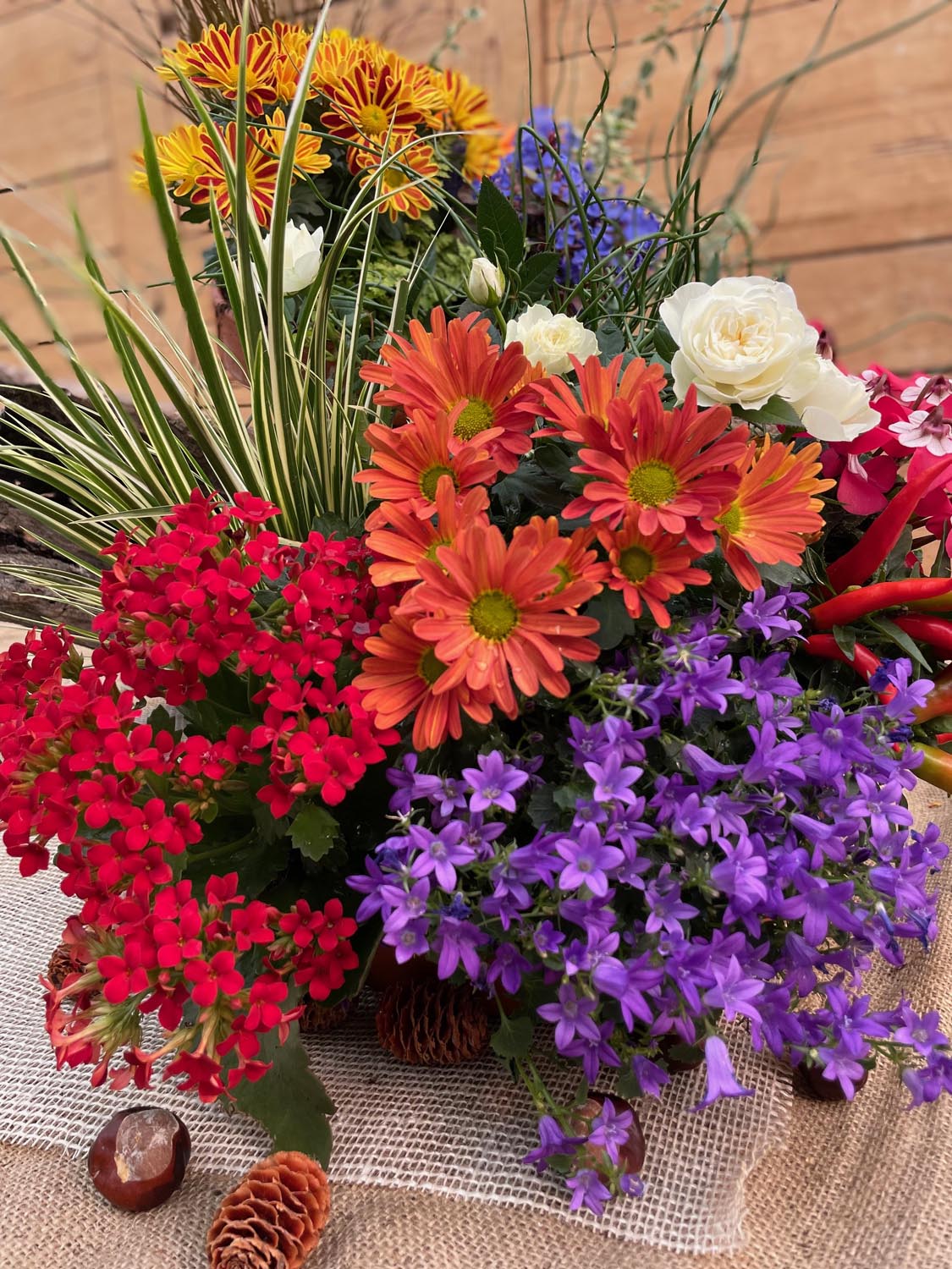 Serre Cros horticulture à Lézat-sur-Lèze en Ariège