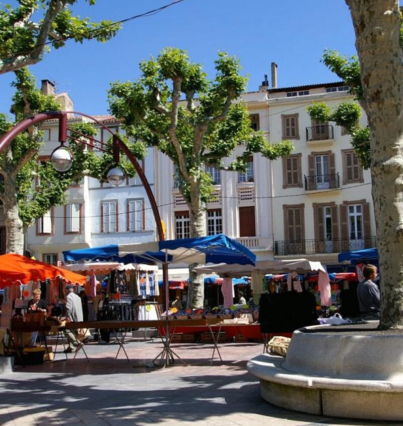 Serre Cros vente de fleurs et plantes fleuries à Pamiers