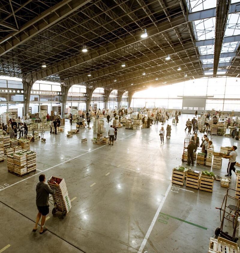 Serre Cros vente de fleurs et plantes fleuries à Toulouse