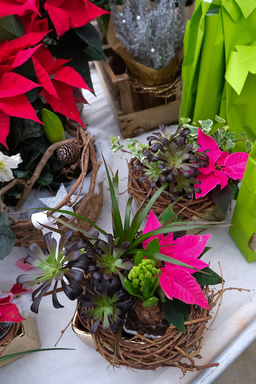 Composition florale Serre Cros spéciale fêtes de fin d'année Noël